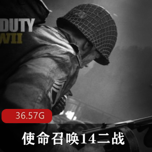 （使命召唤14二战）中文版