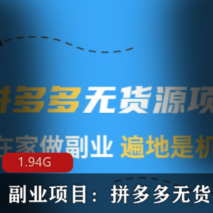 副业项目（拼多多无货源）视频教程