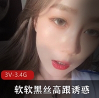 快手软软黑丝高跟诱惑合集1V66G，家里自拍