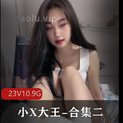 丝足羞R榨J小X大王合集二30V10.9G，原视频无广告