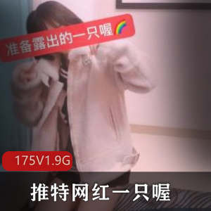 网红一只喔反差大合集抖音推特175V1.9G太诱人