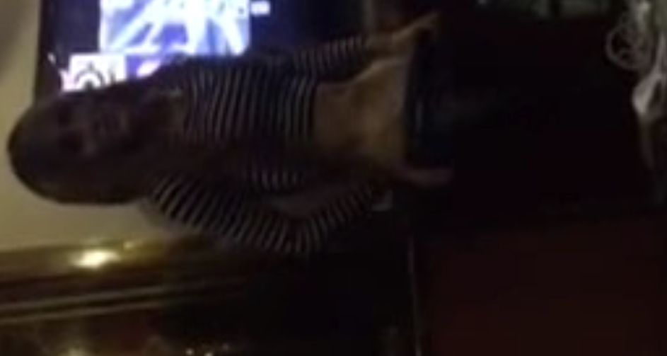 58部TS伪娘合集111G推特热辣诱人