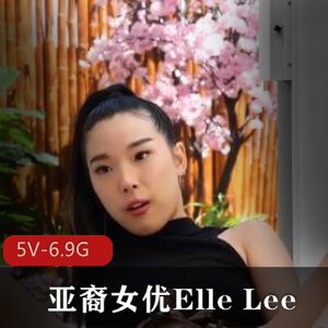 自由国YElleLee合集27部6.7G，知名男Y合作内容丰富