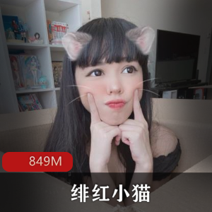 绯红小猫微博美少女腮红诱惑合集1套849M纯欲风