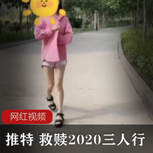 救赎2020推特三人行劲爆合集101部2.67G太感觉