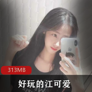 江可爱91黑历史合集313MB推特展示